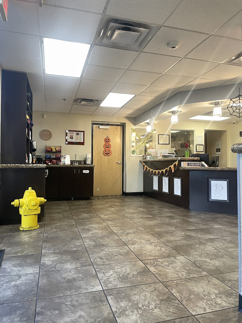 The Scottsdale Veterinary Clinic
