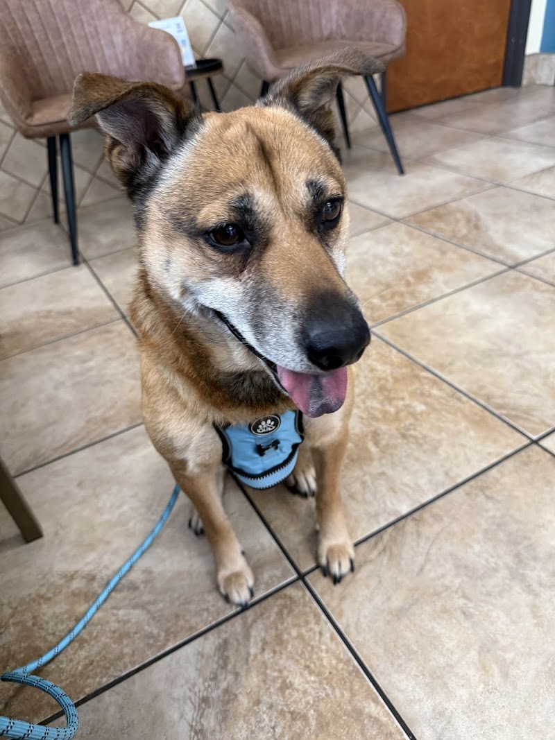 North Star 410 Animal Hospital