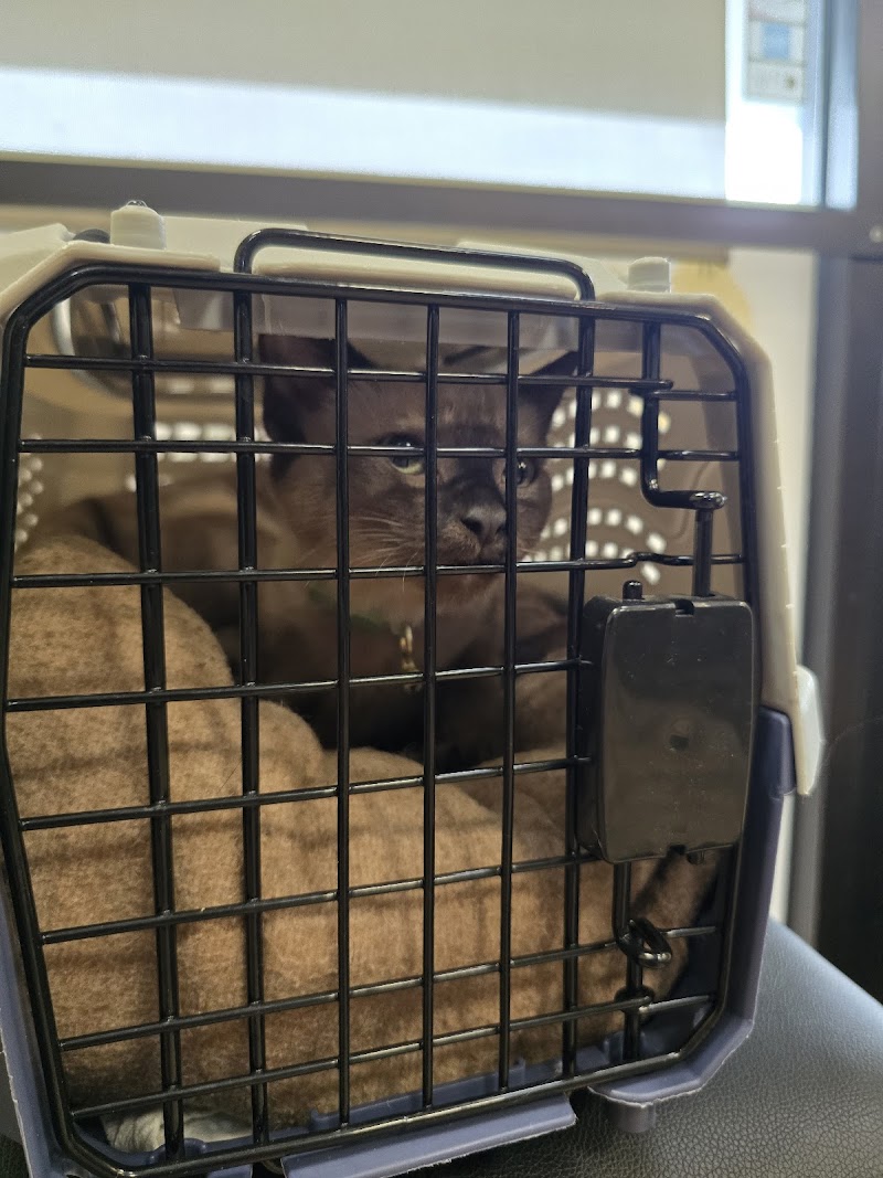 North Star 410 Animal Hospital