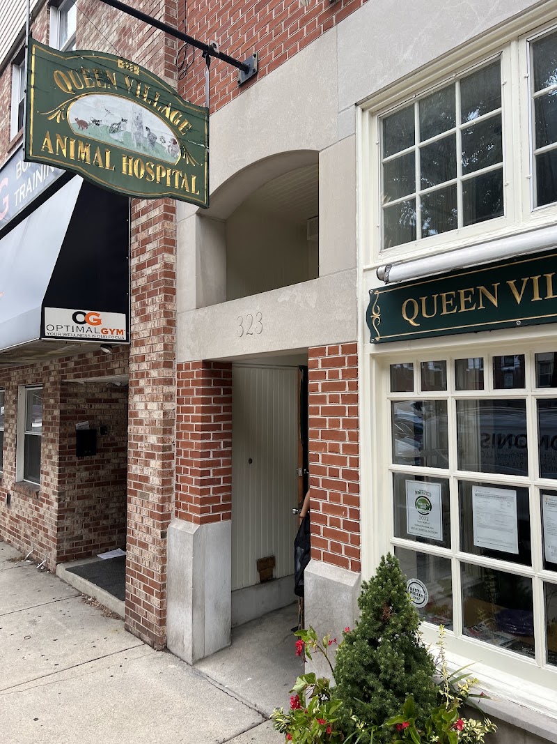 Queen Village Animal Hospital - Philadelphia