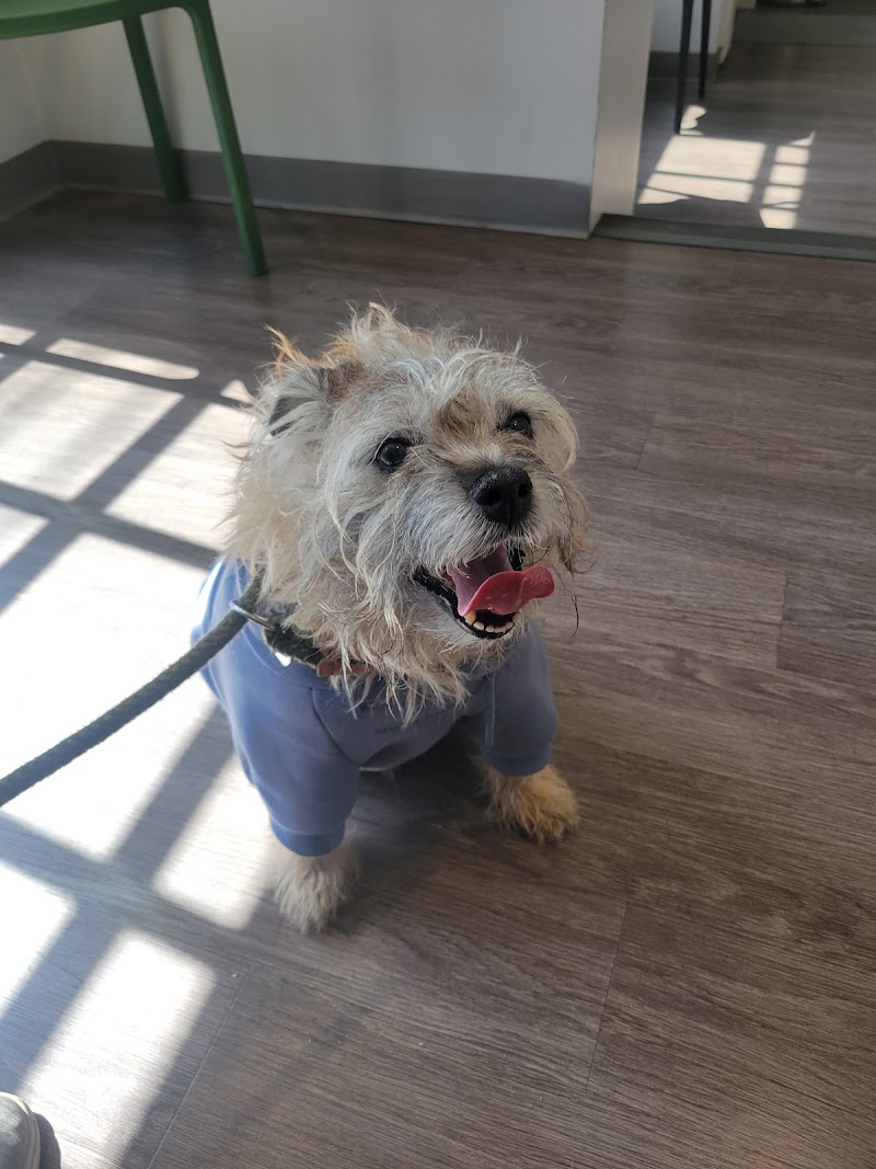 Queen Village Animal Hospital