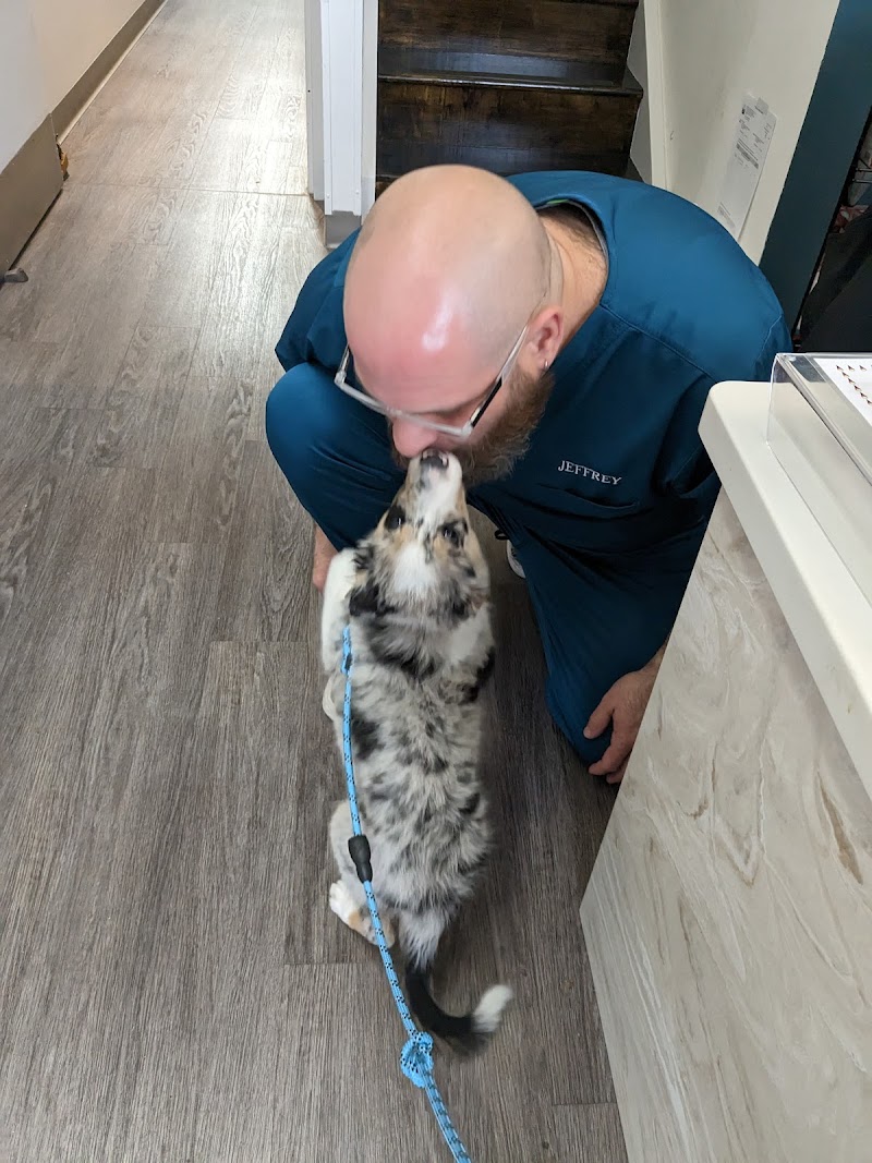 Queen Village Animal Hospital