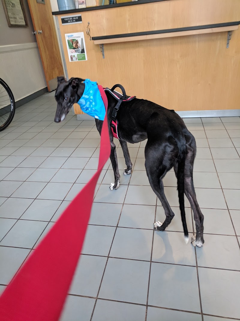 Queen Village Animal Hospital