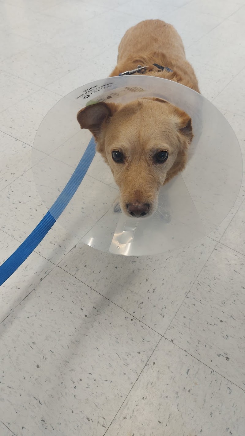 Shadow Hills Pet Clinic