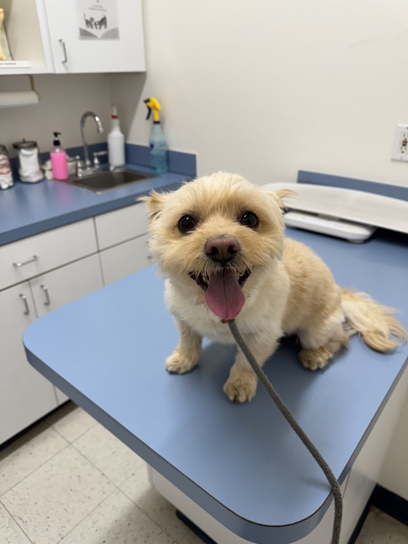 Shadow Hills Pet Clinic