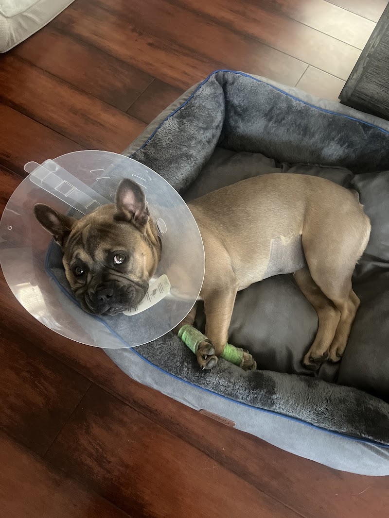 Shadow Hills Pet Clinic
