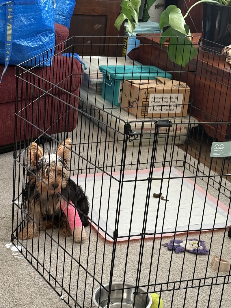 BluePearl Pet Hospital