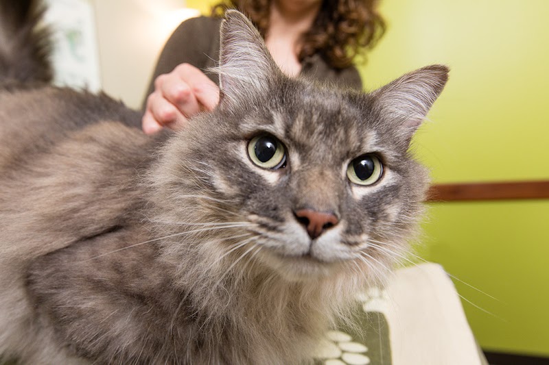 BluePearl Pet Hospital