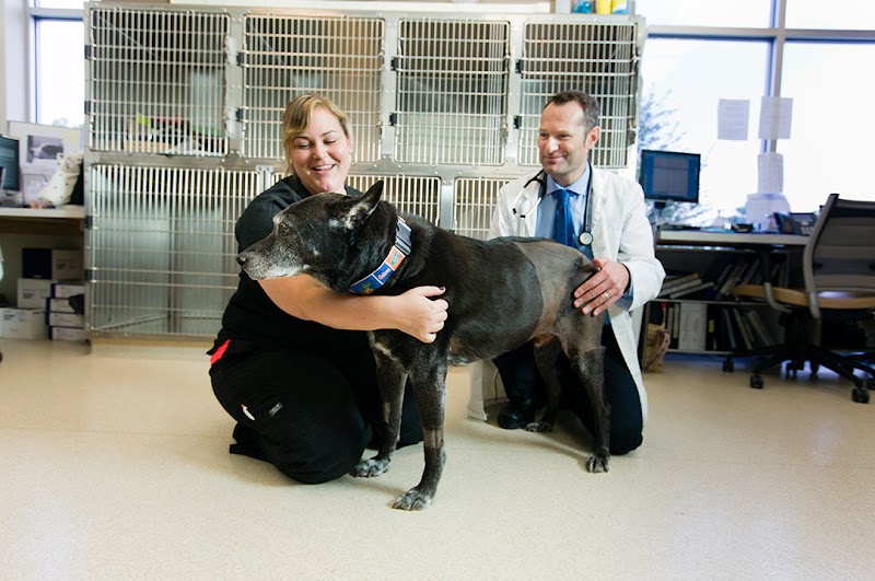 BluePearl Pet Hospital
