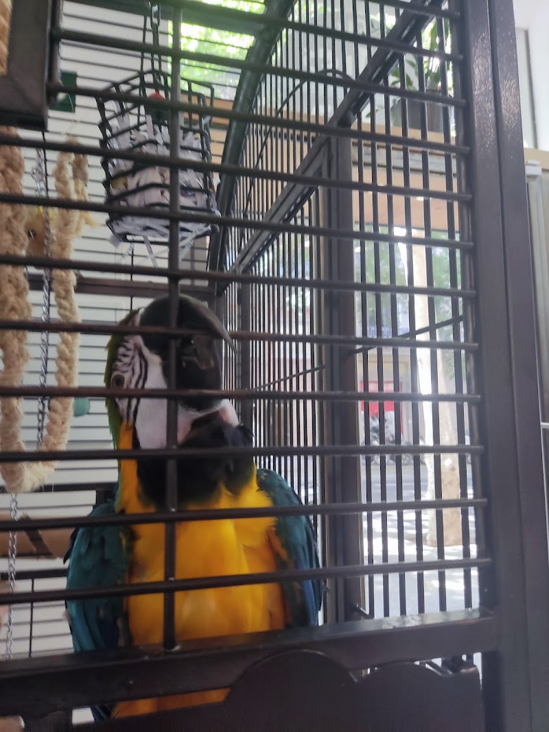 Clínica Veterinaria Els Altres