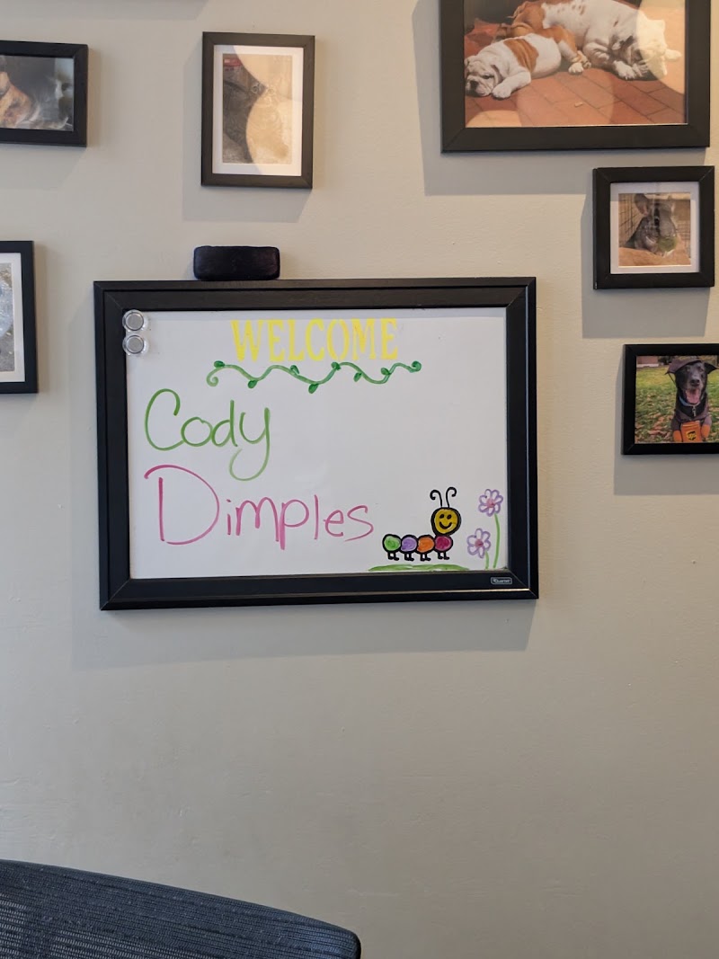 Center City Veterinary Hospital - Philadelphia