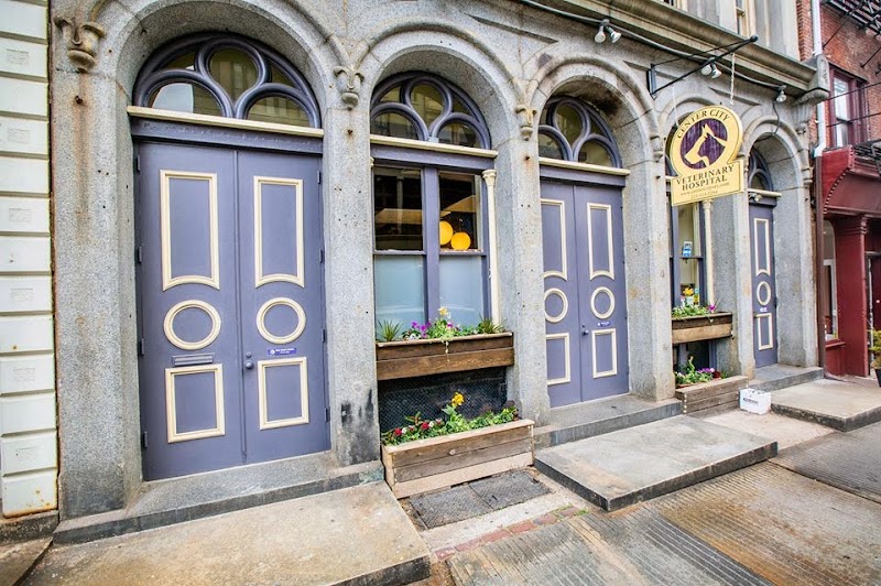 Center City Veterinary Hospital