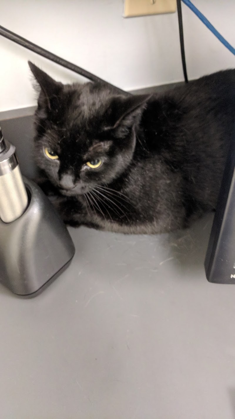 Center City Veterinary Hospital