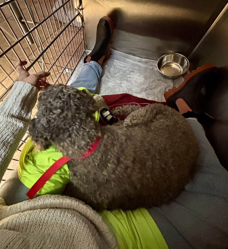 Hillside Veterinary Clinic