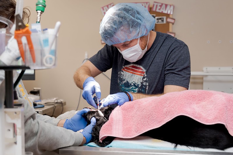 Hillside Veterinary Clinic
