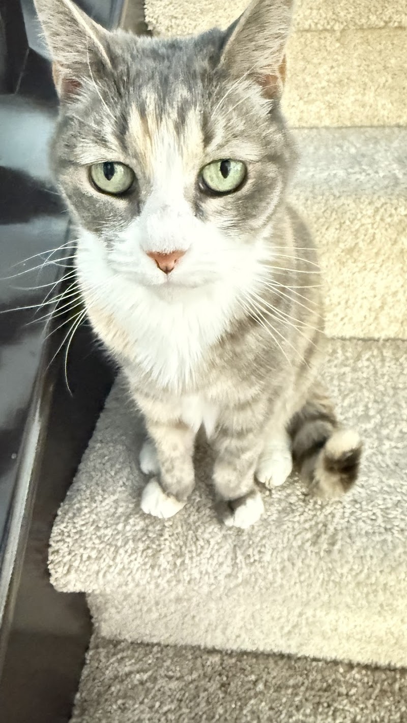 San Marcos Veterinary Clinic