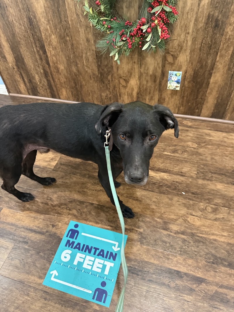 Santa Rosa Veterinary Hospital