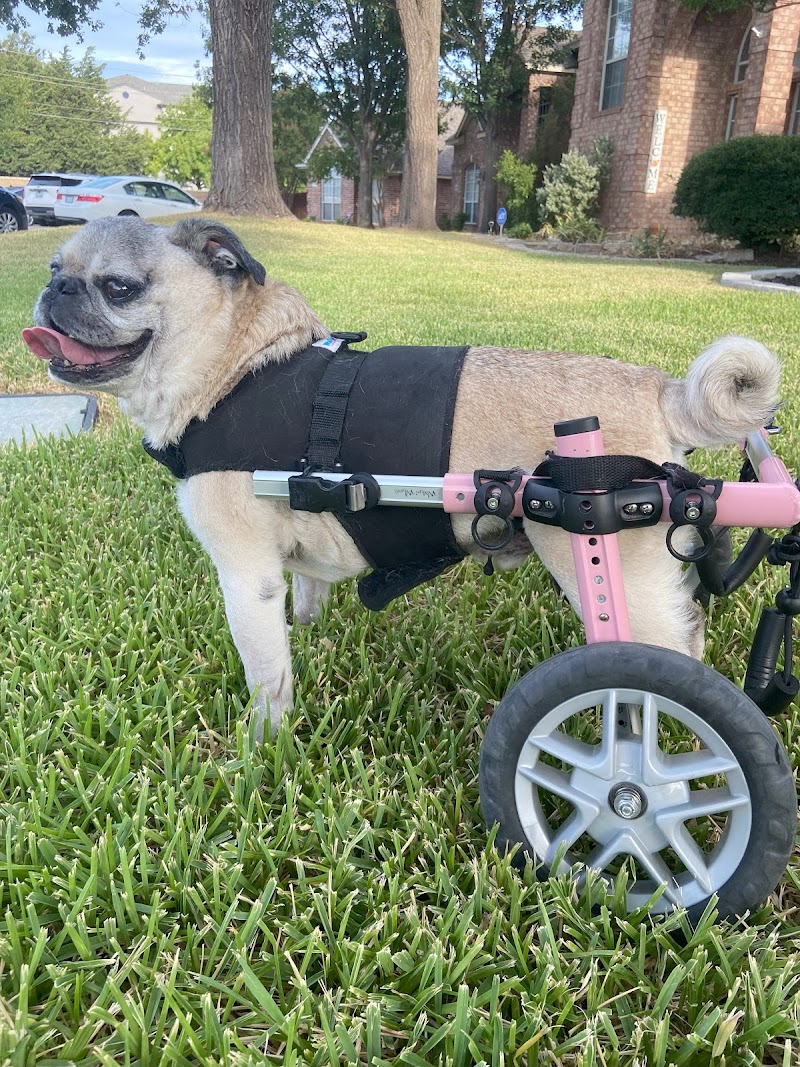 Vetsavers Pet Hospital
