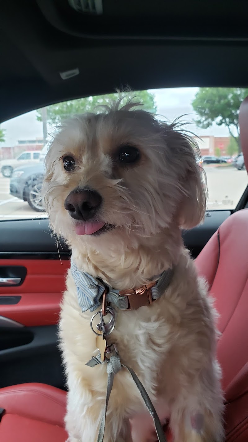 Vetsavers Pet Hospital