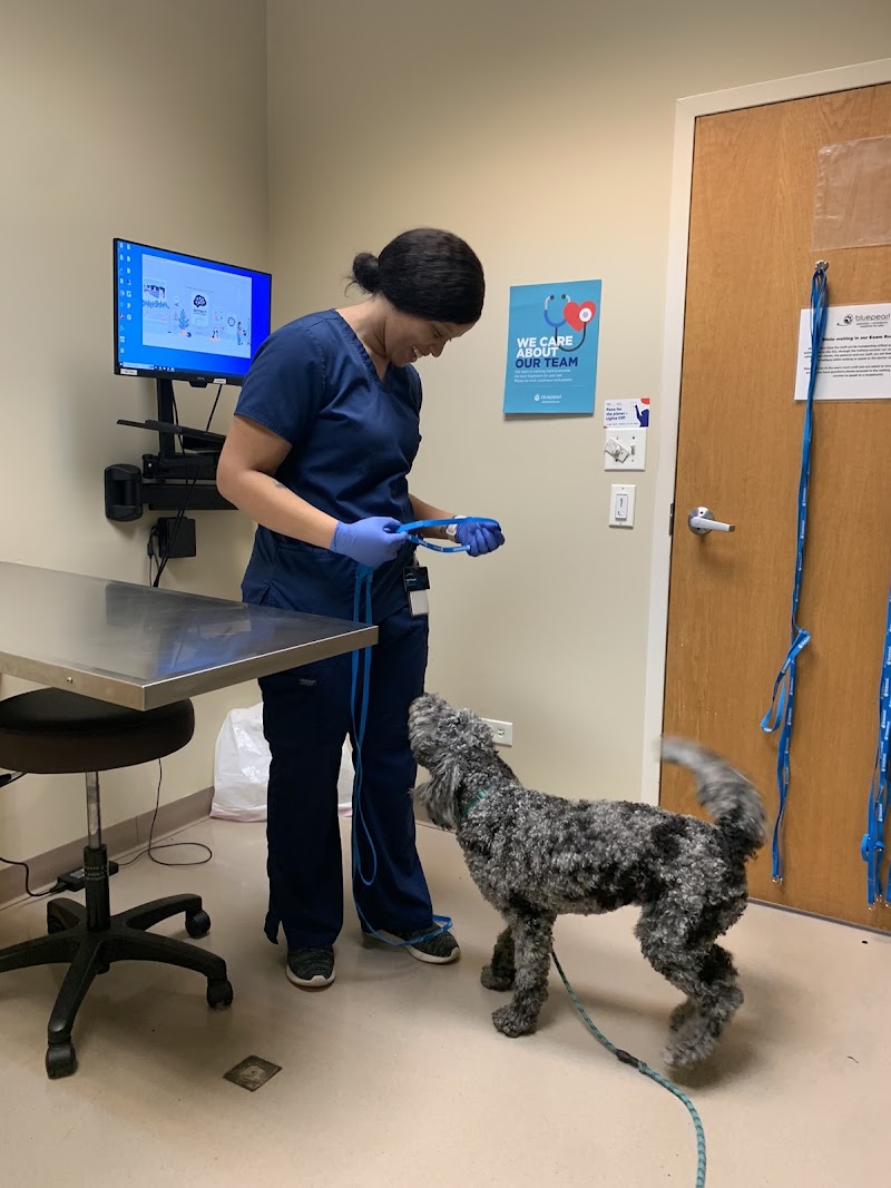 BluePearl Pet Hospital