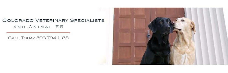 Colorado Veterinary Specialty Group - Littleton, CO