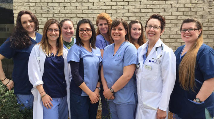 VCA Berwyn Animal Hospital