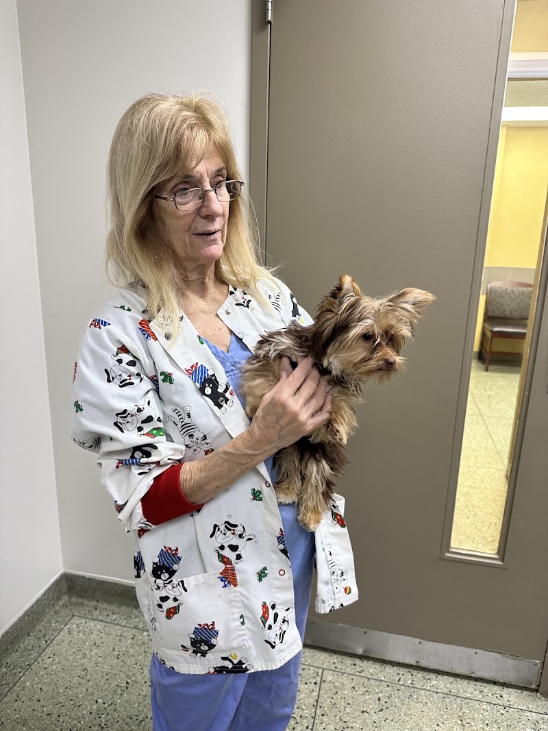 VCA Berwyn Animal Hospital - Chicago