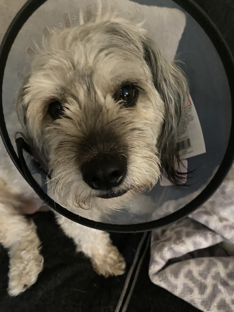 Northwest Animal Hospital