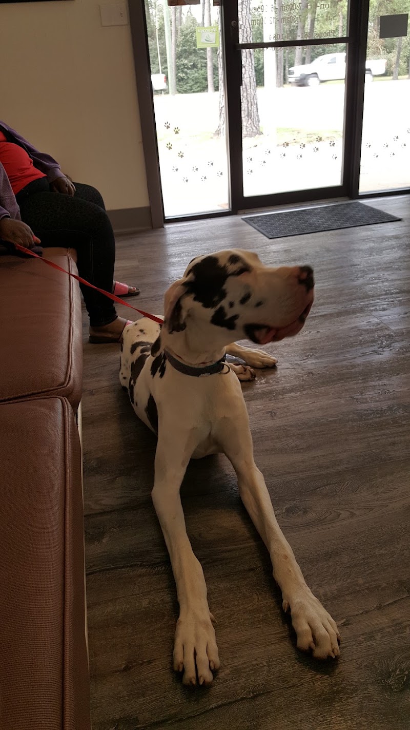 Northwest Animal Hospital