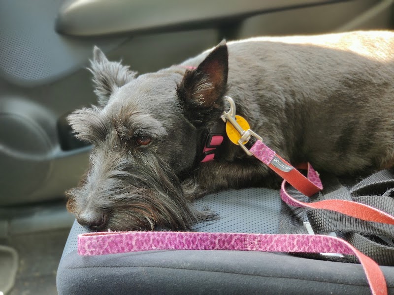Northwest Animal Hospital