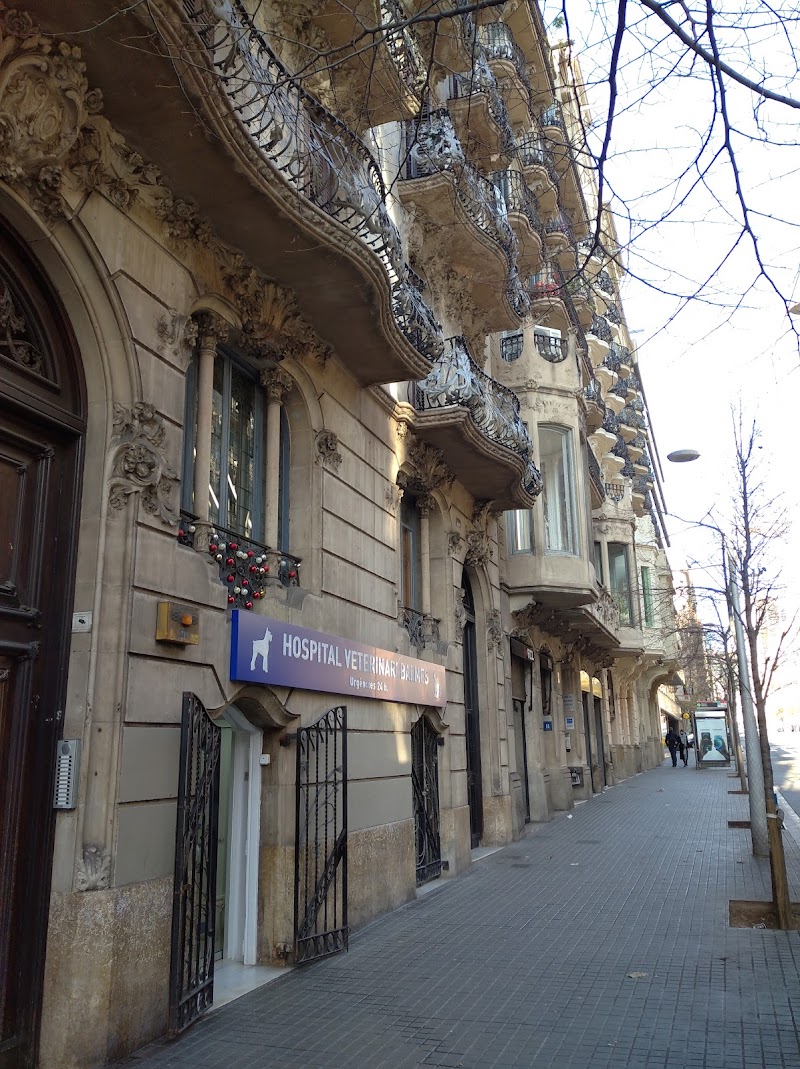 Hospital Veterinari Balmes