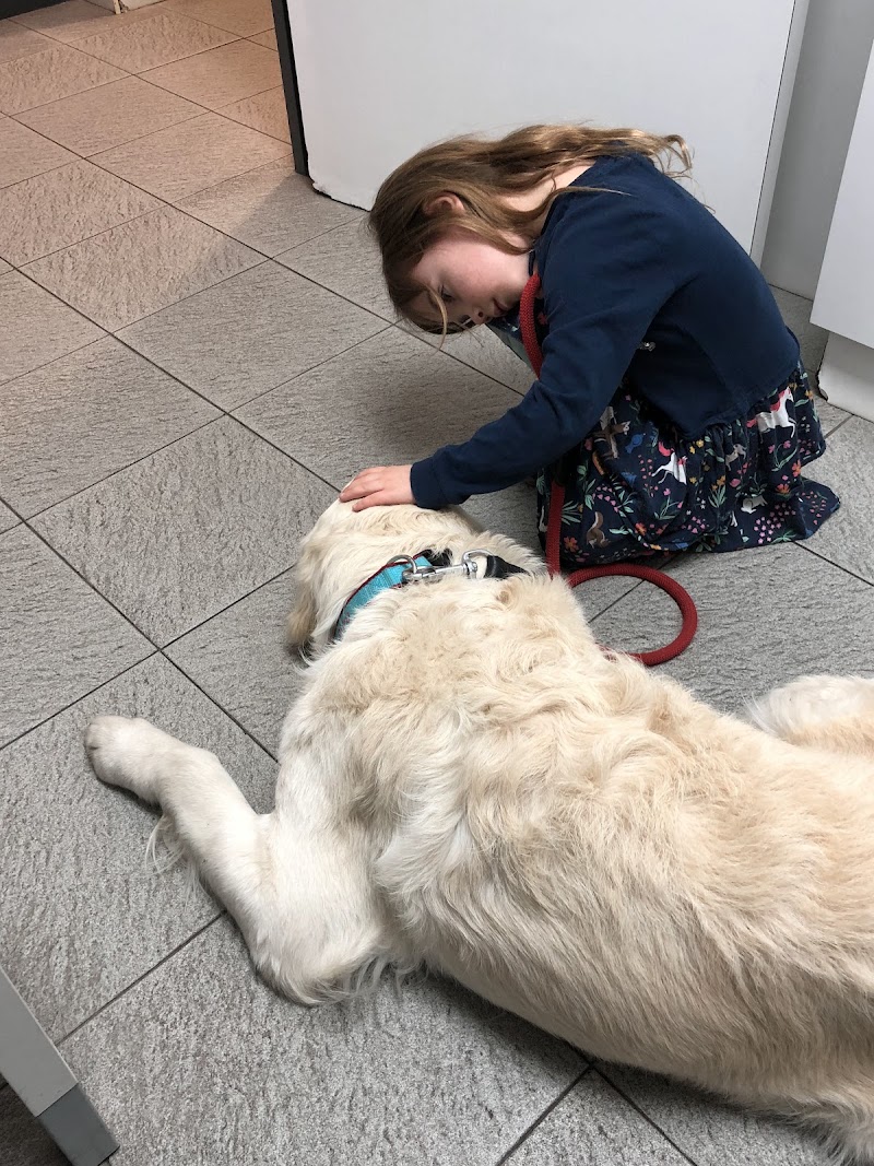 Hospital Veterinari Balmes