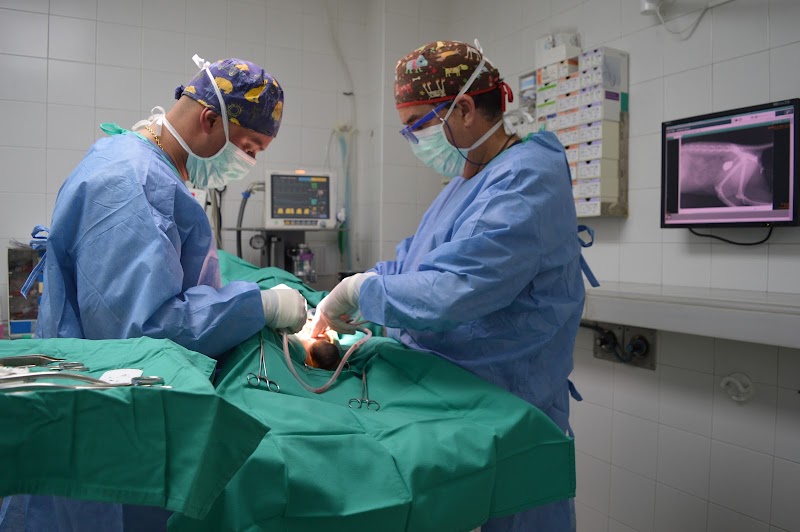 Hospital Veterinari Balmes
