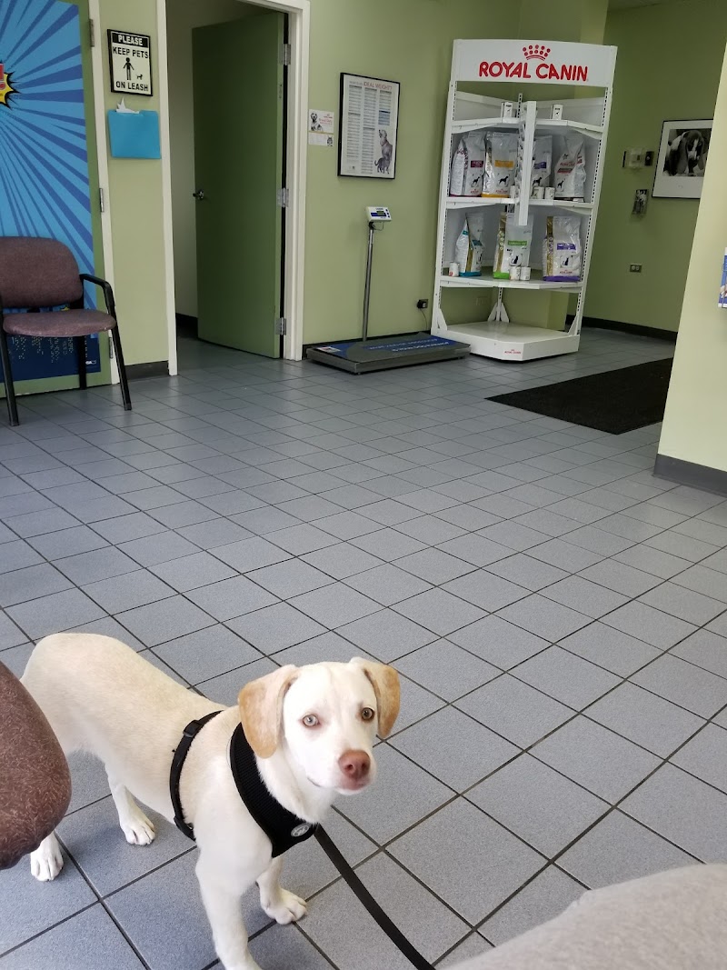 VCA Lake Shore Animal Hospital