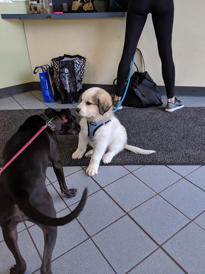 VCA Lake Shore Animal Hospital