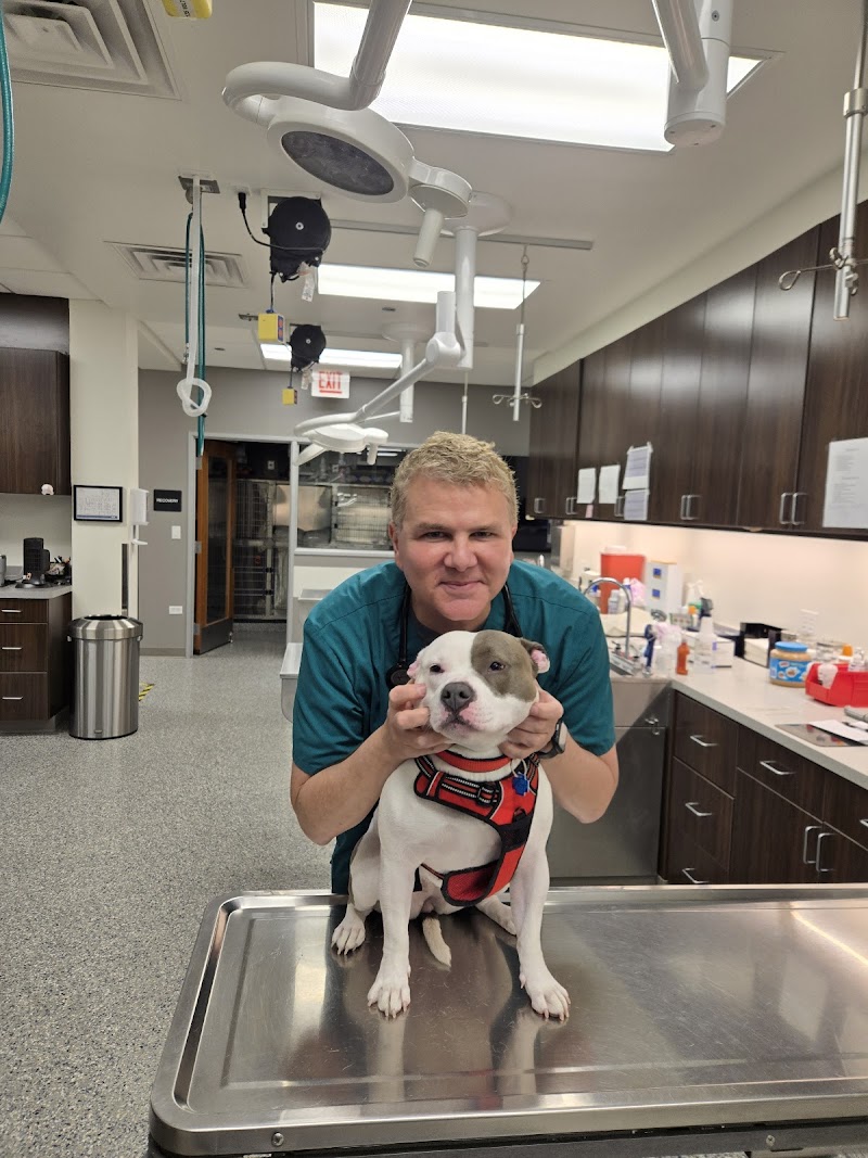VCA Lake Shore Animal Hospital