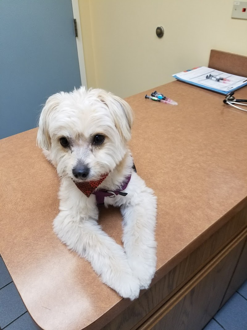 VCA Lake Shore Animal Hospital