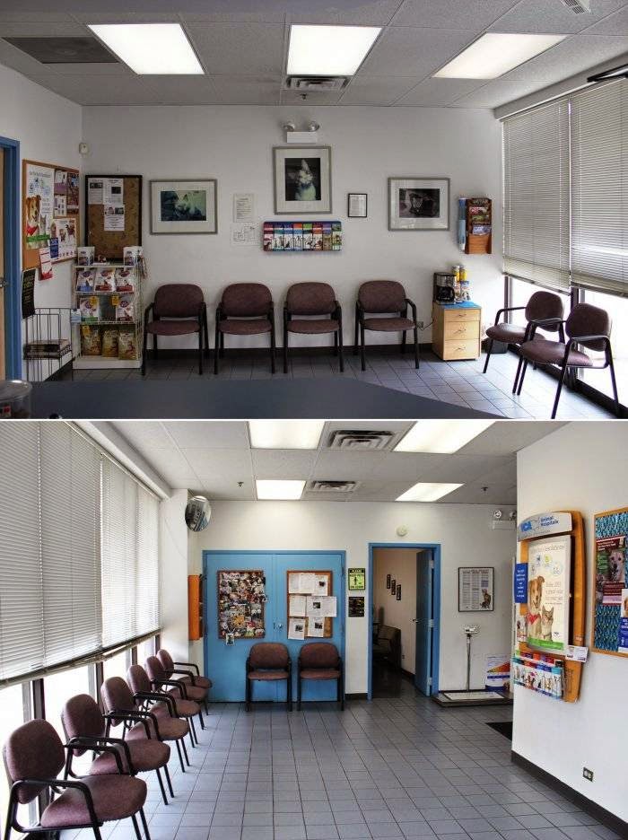 VCA Lake Shore Animal Hospital