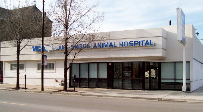 VCA Lake Shore Animal Hospital