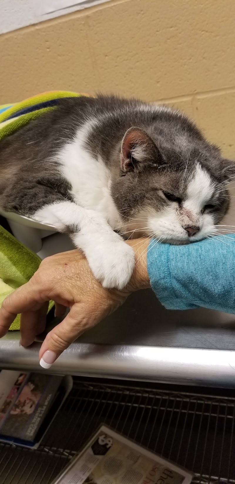 Atlanta West Veterinary Hospital