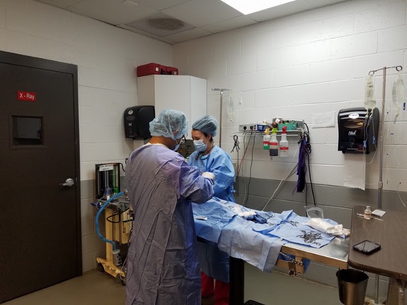 Atlanta West Veterinary Hospital