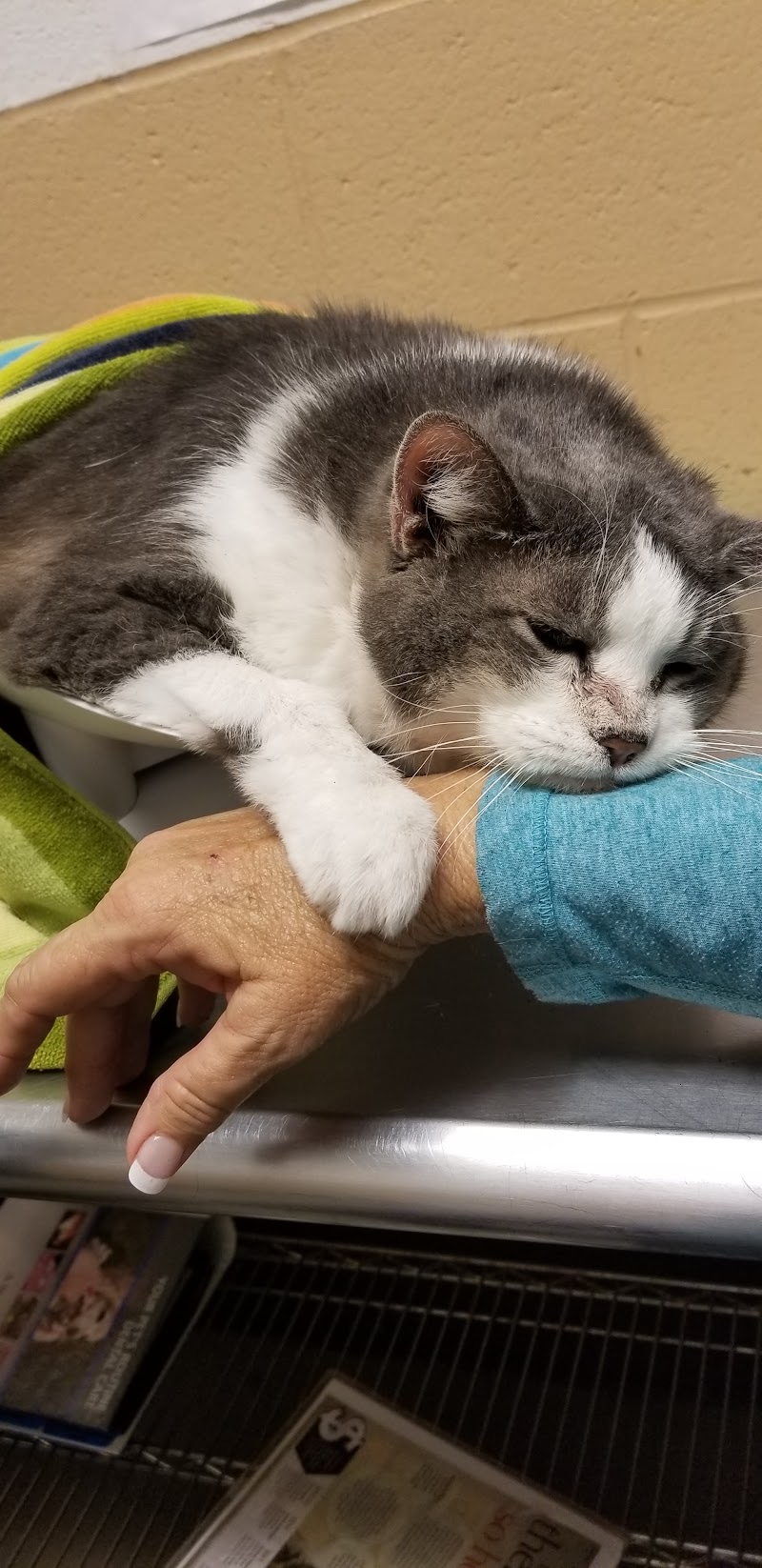 Atlanta West Veterinary Hospital