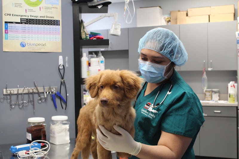 Garden Oaks Veterinary Center