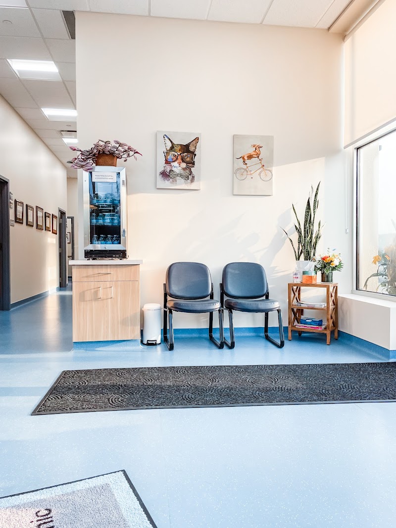 Nova Veterinary Clinic