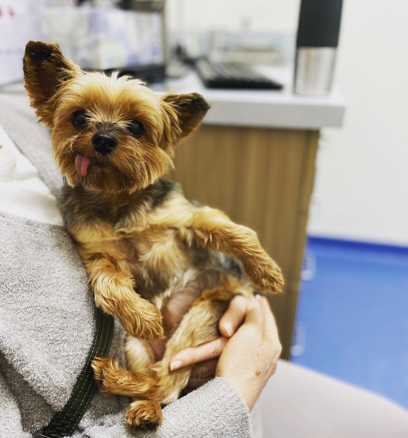 Nova Veterinary Clinic