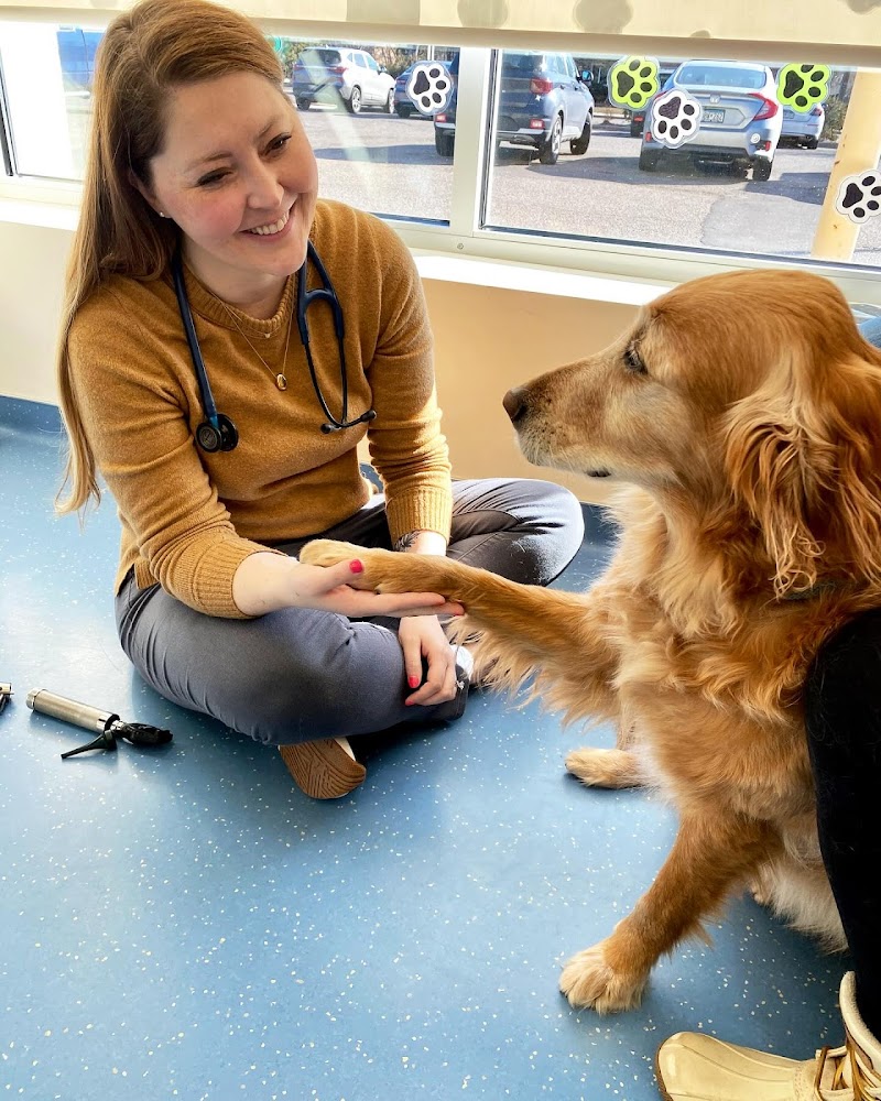 Nova Veterinary Clinic