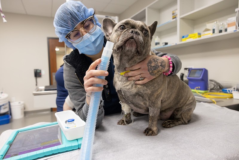 DoveLewis 24/7 Veterinary Emergency Hospital
