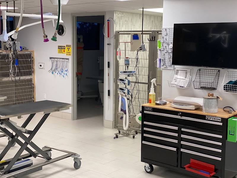 ARCHVET Animal Hospital