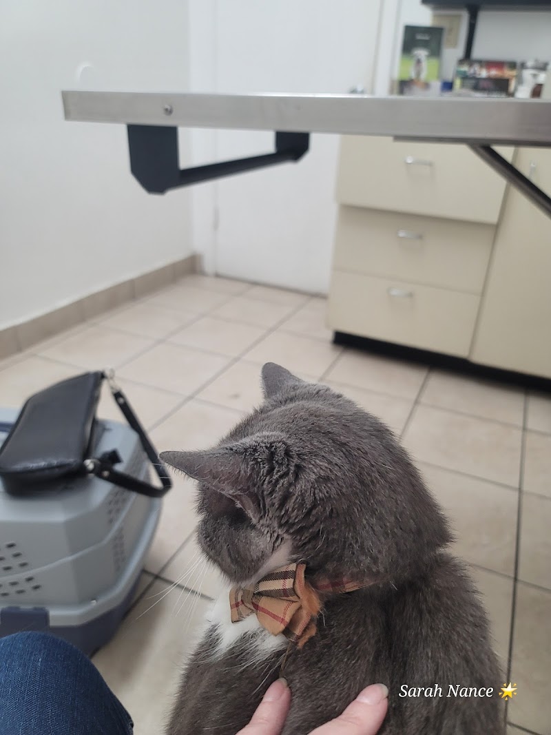 Pet Hospital of North Park