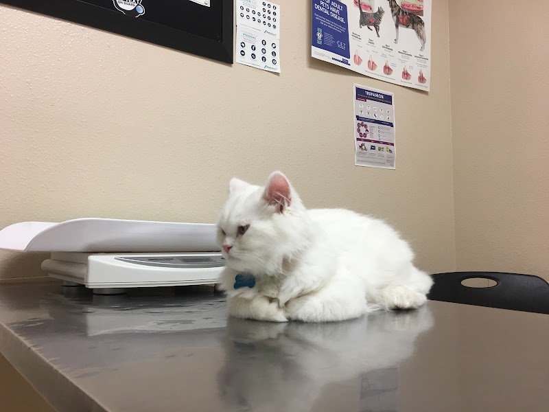 Pet Hospital of North Park